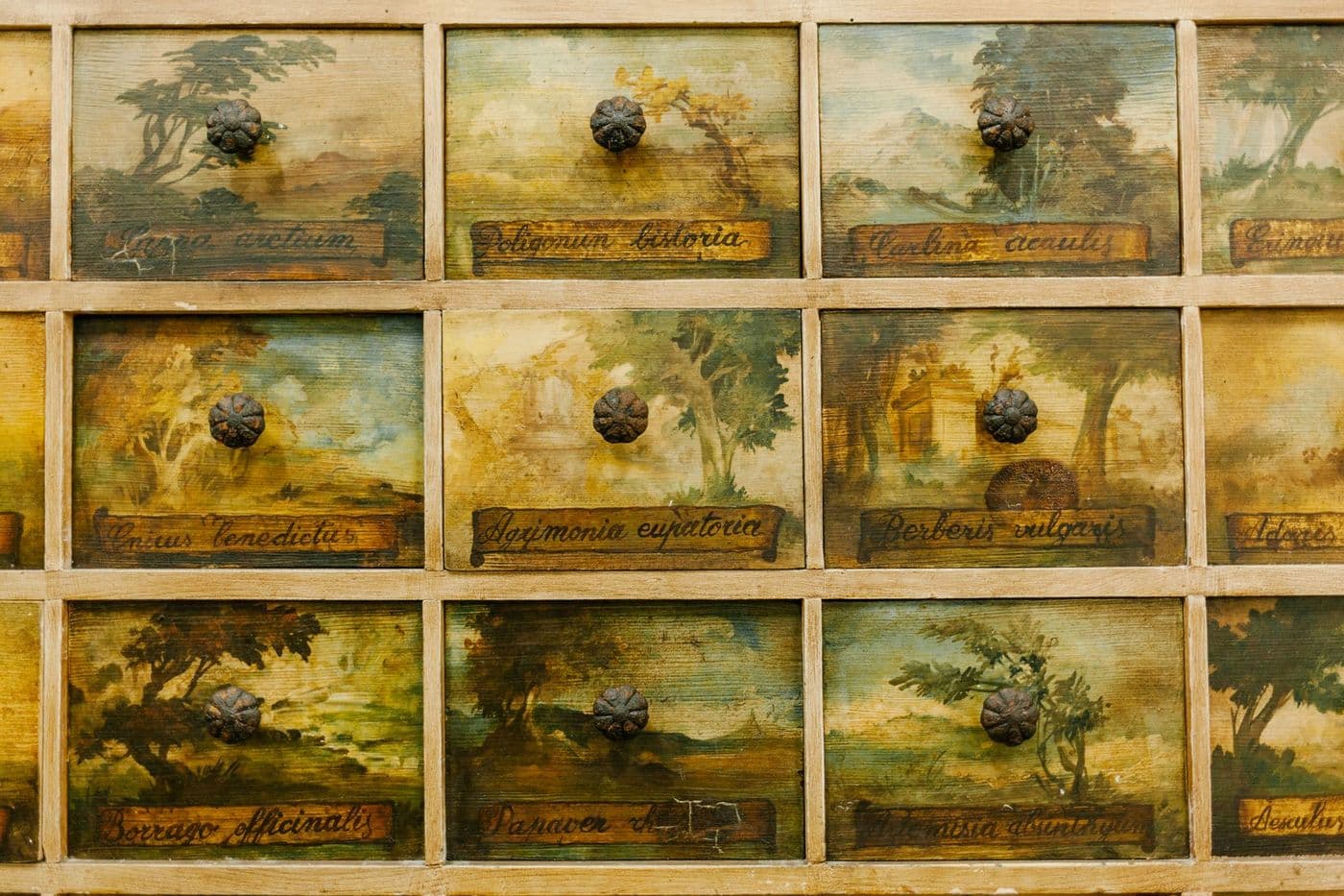 Textured background of aged cabinet with rectangular shaped drawers with colorful pictures and round handles